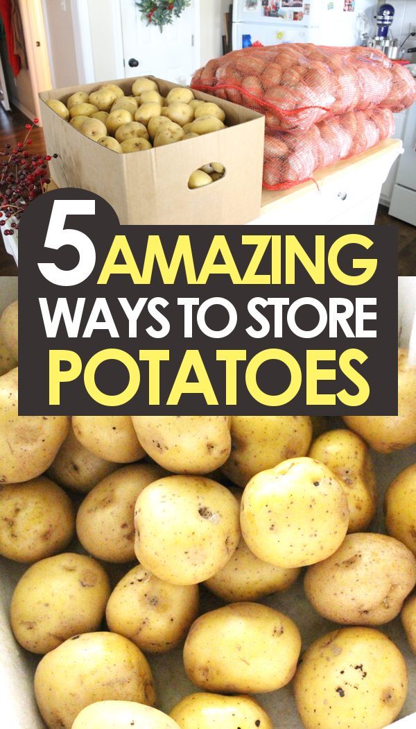 5 Ways To Store Potatoes Promo 600x1050 600x1050 