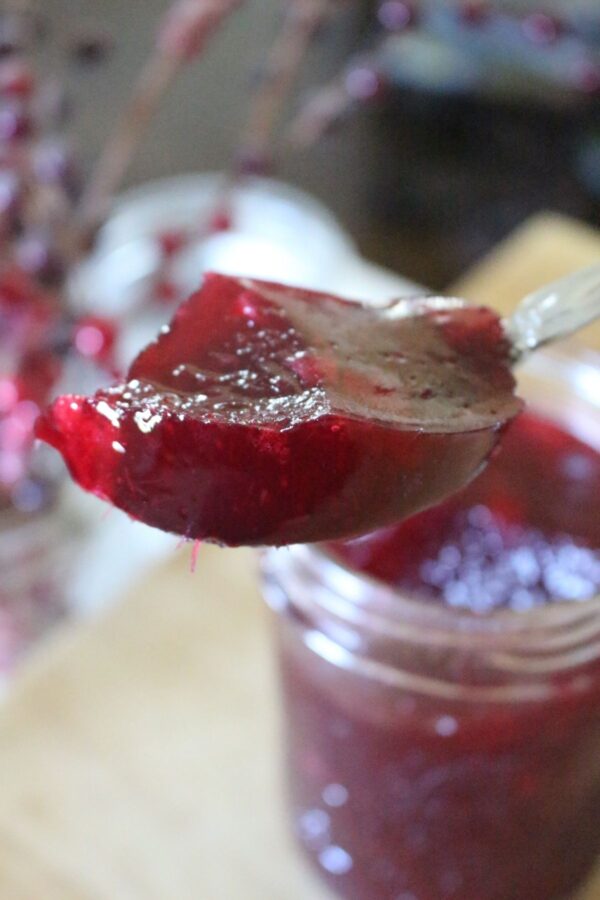 Homemade Jellied Cranberry Sauce | Canning Optional
