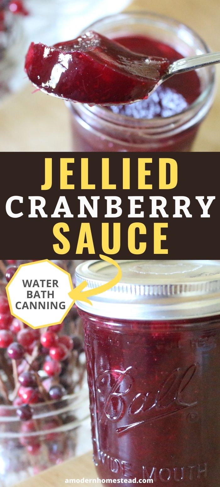 Homemade Jellied Cranberry Sauce | Canning Optional